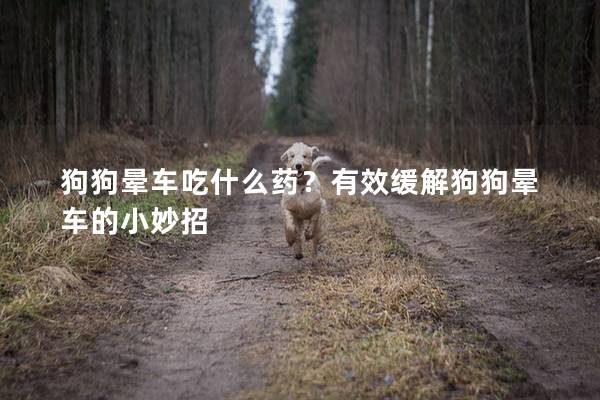 狗狗晕车吃什么药?有效缓解狗狗晕车的小妙招 狗狗晕车吃什么药?有效缓解狗狗晕车的小妙招