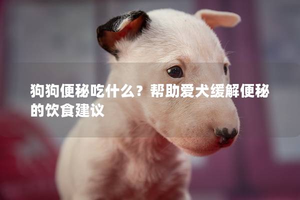 狗狗便秘吃什么？帮助爱犬缓解便秘的饮食建议