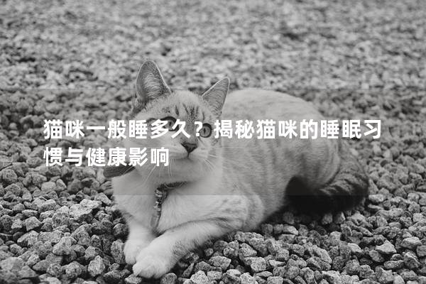 猫咪一般睡多久？揭秘猫咪的睡眠习惯与健康影响