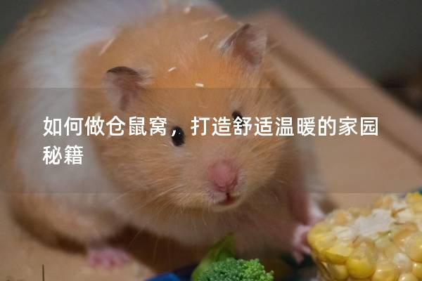 如何做仓鼠窝,打造舒适温暖的家园秘籍 如何做仓鼠窝,打造舒适温暖的家园秘籍