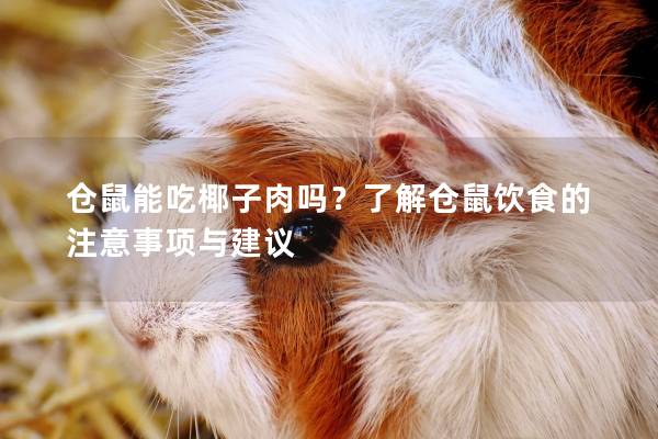 仓鼠能吃椰子肉吗?了解仓鼠饮食的注意事项与建议 仓鼠能吃椰子肉吗?了解仓鼠饮食的注意事项与建议