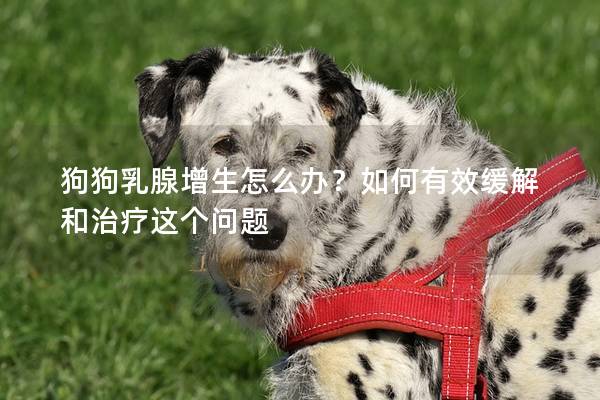 狗狗乳腺增生怎么办？如何有效缓解和治疗这个问题