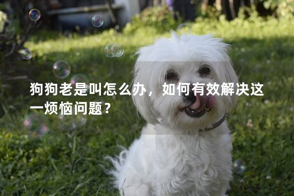 狗狗老是叫怎么办,如何有效解决这一烦恼问题? 狗狗老是叫怎么办,如何有效解决这一烦恼问题?