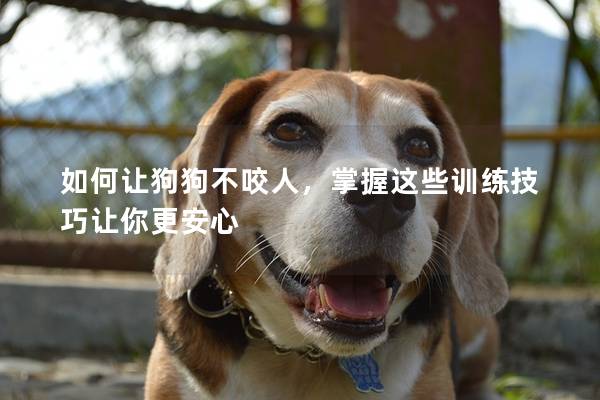 如何让狗狗不咬人，掌握这些训练技巧让你更安心