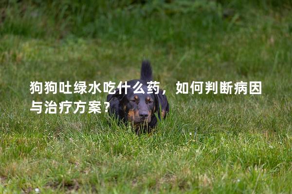 狗狗吐绿水吃什么药，如何判断病因与治疗方案？