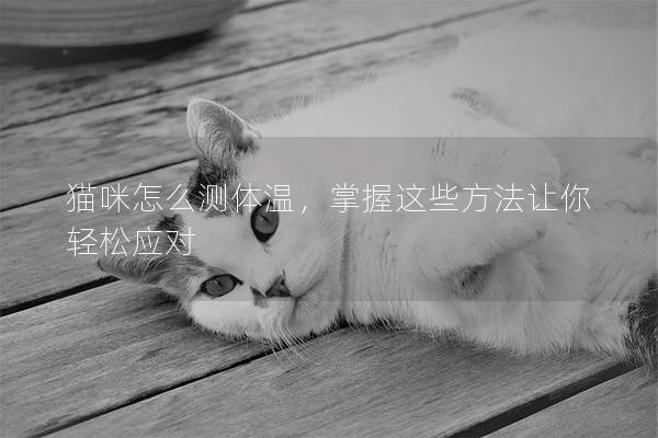 猫咪怎么测体温，掌握这些方法让你轻松应对