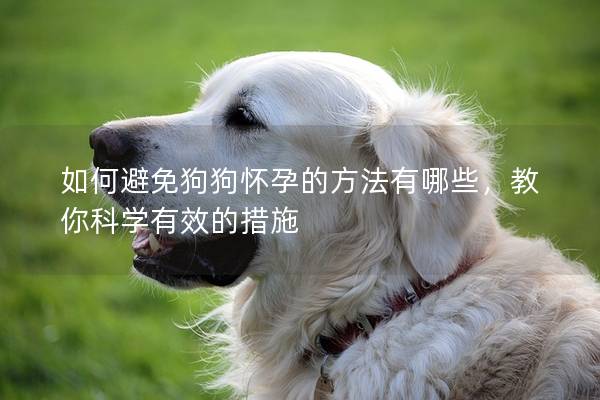 如何避免狗狗怀孕的方法有哪些，教你科学有效的措施