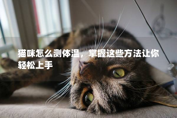 猫咪怎么测体温，掌握这些方法让你轻松上手