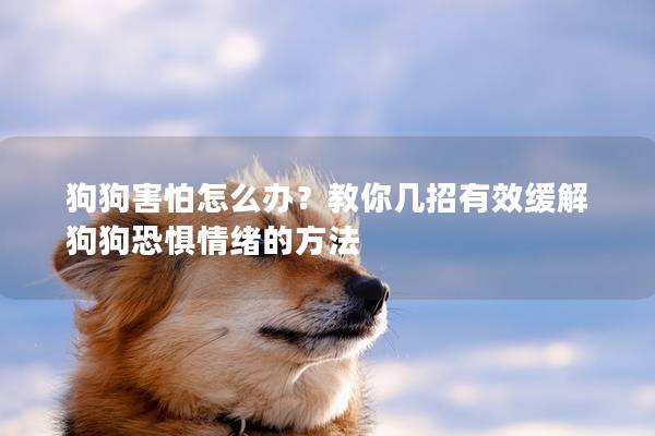 狗狗害怕怎么办？教你几招有效缓解狗狗恐惧情绪的方法