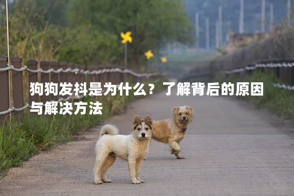 狗狗发抖是为什么？了解背后的原因与解决方法