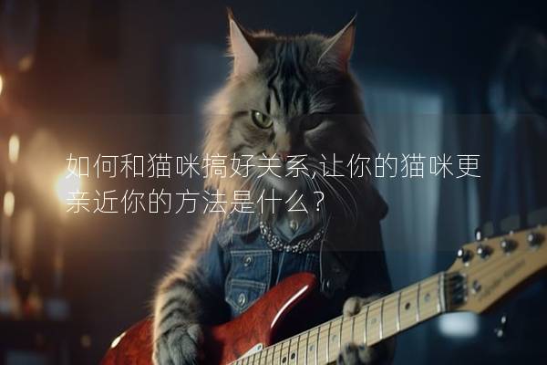 如何和猫咪搞好关系,让你的猫咪更亲近你的方法是什么？