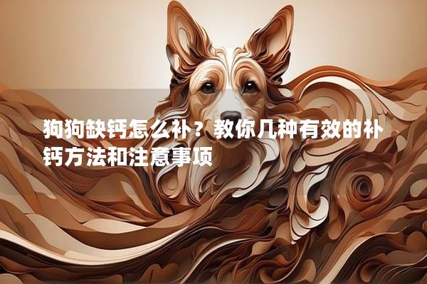 狗狗缺钙怎么补？教你几种有效的补钙方法和注意事项