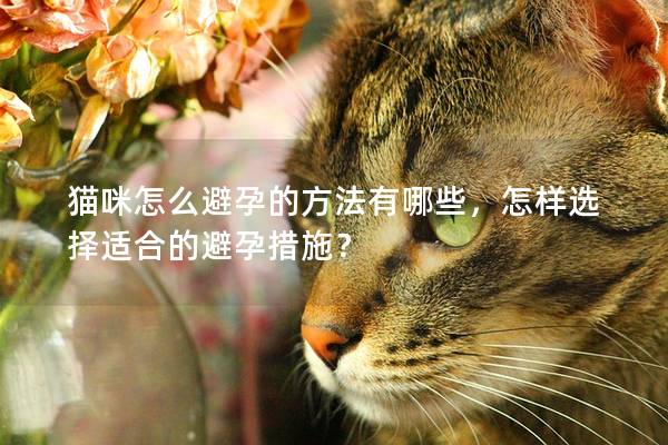 猫咪怎么避孕的方法有哪些，怎样选择适合的避孕措施？