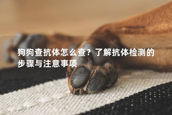 狗狗查抗体怎么查？了解抗体检测的步骤与注意事项