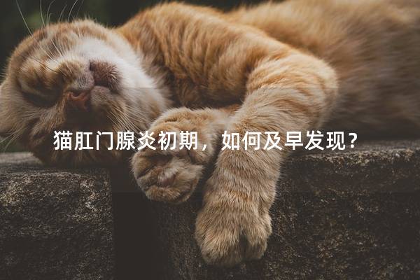 猫肛门腺炎初期，如何及早发现？