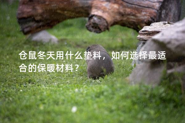 仓鼠冬天用什么垫料，如何选择最适合的保暖材料？