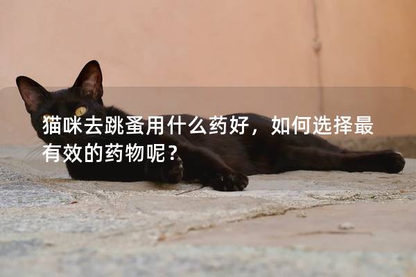 猫咪去跳蚤用什么药好，如何选择最有效的药物呢？