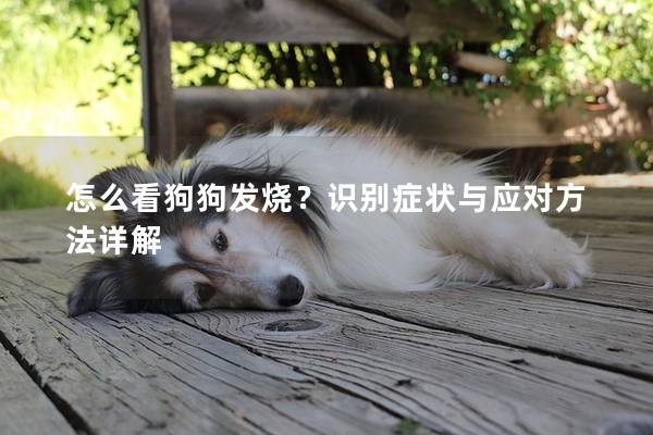 怎么看狗狗发烧？识别症状与应对方法详解