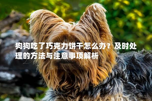狗狗吃了巧克力饼干怎么办？及时处理的方法与注意事项解析