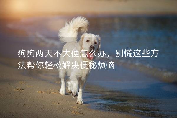 狗狗两天不大便怎么办,别慌这些方法帮你轻松解决便秘烦恼 狗狗两天不大便怎么办,别慌这些方法帮你轻松解决便秘烦恼