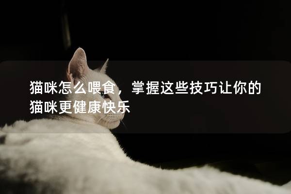 猫咪怎么喂食，掌握这些技巧让你的猫咪更健康快乐