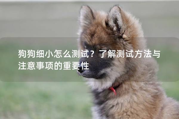 狗狗细小怎么测试？了解测试方法与注意事项的重要性