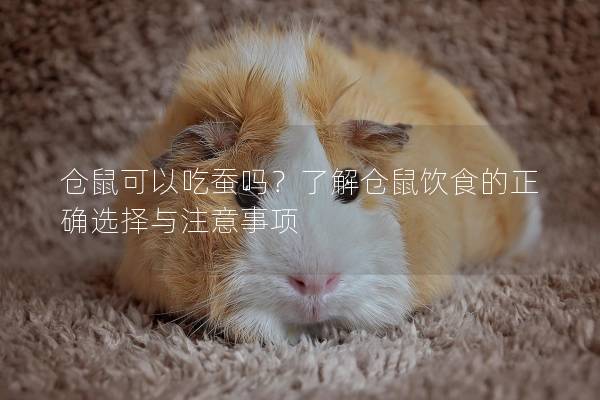 仓鼠可以吃蚕吗?了解仓鼠饮食的正确选择与注意事项 仓鼠可以吃蚕吗?了解仓鼠饮食的正确选择与注意事项