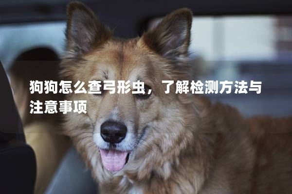 狗狗怎么查弓形虫，了解检测方法与注意事项