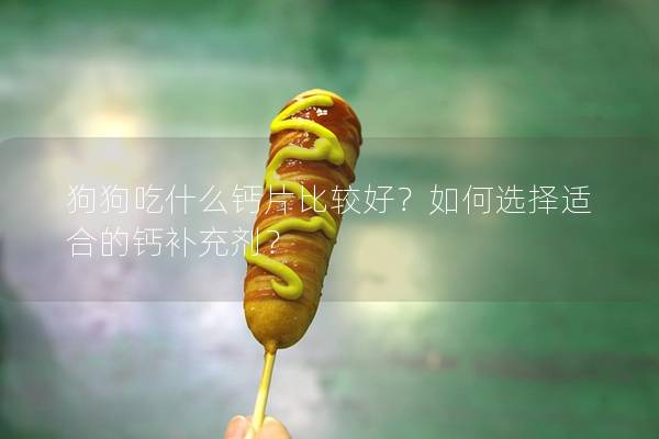 狗狗吃什么钙片比较好？如何选择适合的钙补充剂？