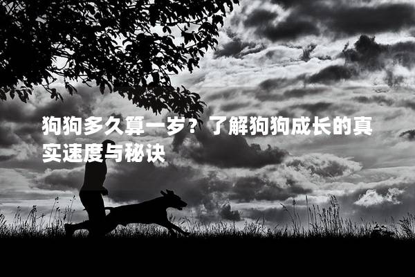 狗狗多久算一岁?了解狗狗成长的真实速度与秘诀 狗狗多久算一岁?了解狗狗成长的真实速度与秘诀