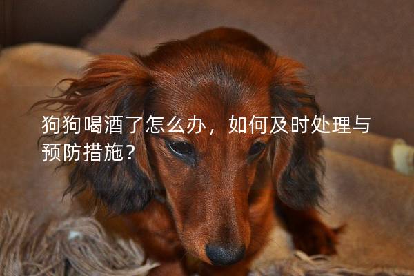 狗狗喝酒了怎么办，如何及时处理与预防措施？