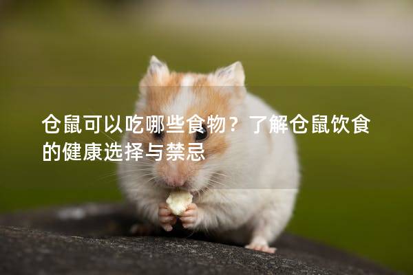 仓鼠可以吃哪些食物？了解仓鼠饮食的健康选择与禁忌