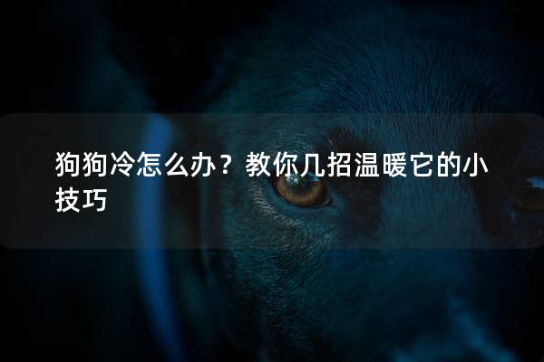 狗狗冷怎么办?教你几招温暖它的小技巧 狗狗冷怎么办?教你几招温暖它的小技巧