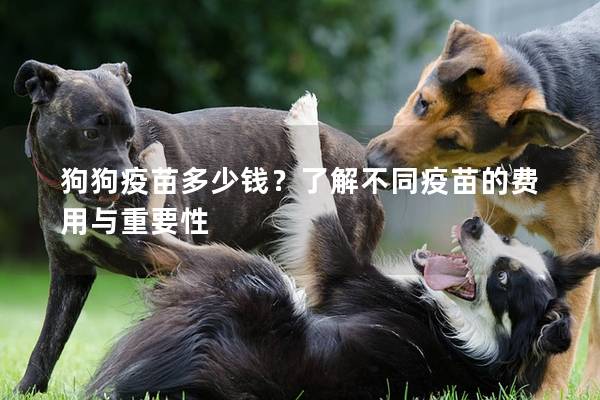 狗狗疫苗多少钱?了解不同疫苗的费用与重要性 狗狗疫苗多少钱?了解不同疫苗的费用与重要性