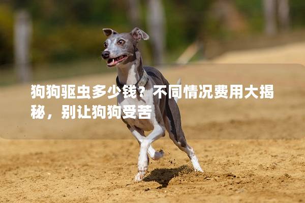 狗狗驱虫多少钱？不同情况费用大揭秘，别让狗狗受苦