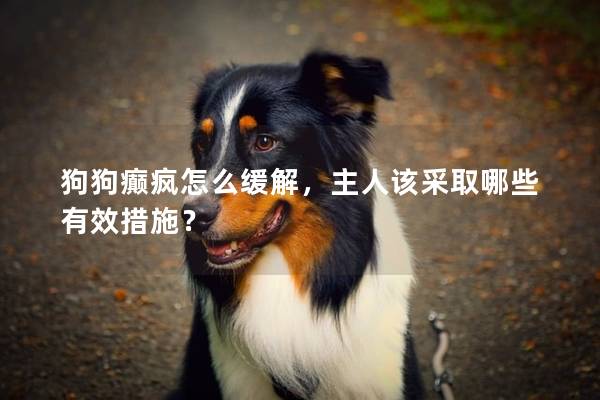 狗狗癫疯怎么缓解,主人该采取哪些有效措施? 狗狗癫疯怎么缓解,主人该采取哪些有效措施?