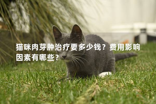 猫咪肉芽肿治疗要多少钱？费用影响因素有哪些？