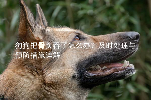 狗狗把骨头吞了怎么办？及时处理与预防措施详解