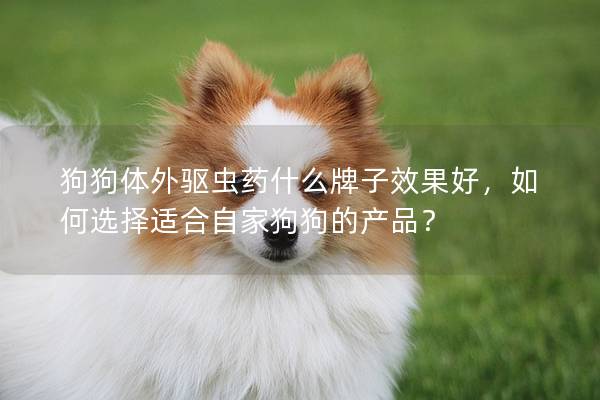 狗狗体外驱虫药什么牌子效果好,如何选择适合自家狗狗的产品? 狗狗体外驱虫药什么牌子效果好,如何选择适合自家狗狗的产品?