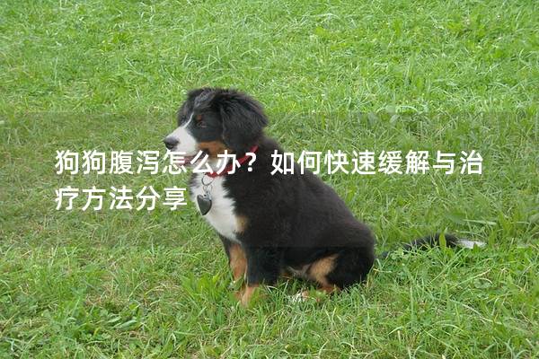狗狗腹泻怎么办?如何快速缓解与治疗方法分享 狗狗腹泻怎么办?如何快速缓解与治疗方法分享