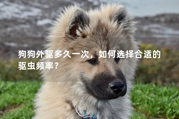 狗狗外驱多久一次，如何选择合适的驱虫频率？