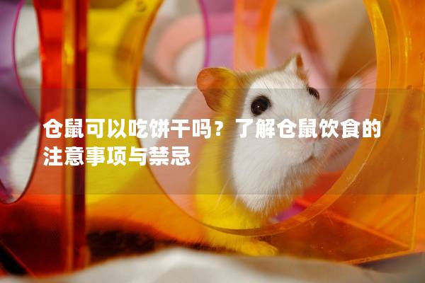 仓鼠可以吃饼干吗？了解仓鼠饮食的注意事项与禁忌