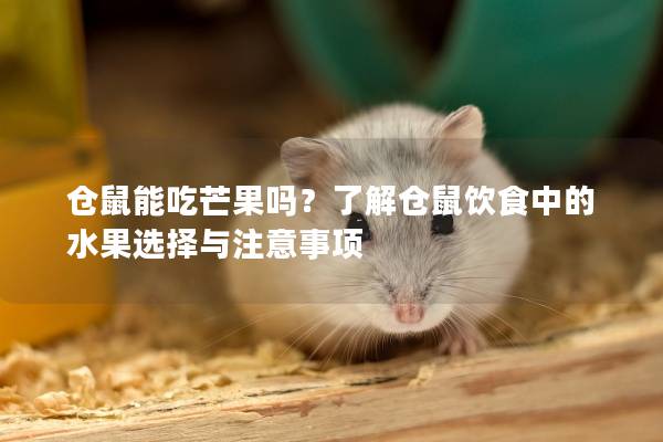 仓鼠能吃芒果吗？了解仓鼠饮食中的水果选择与注意事项