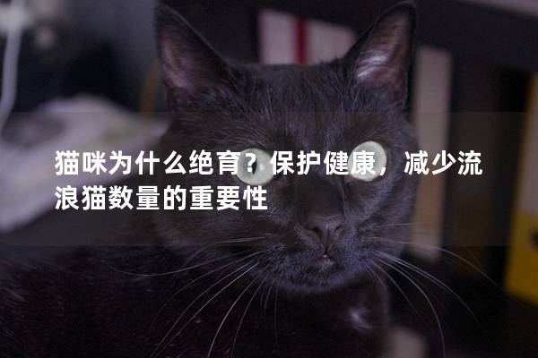 猫咪为什么绝育？保护健康，减少流浪猫数量的重要性