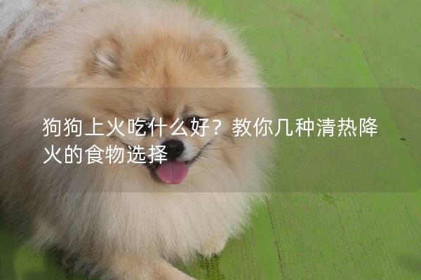 狗狗上火吃什么好？教你几种清热降火的食物选择