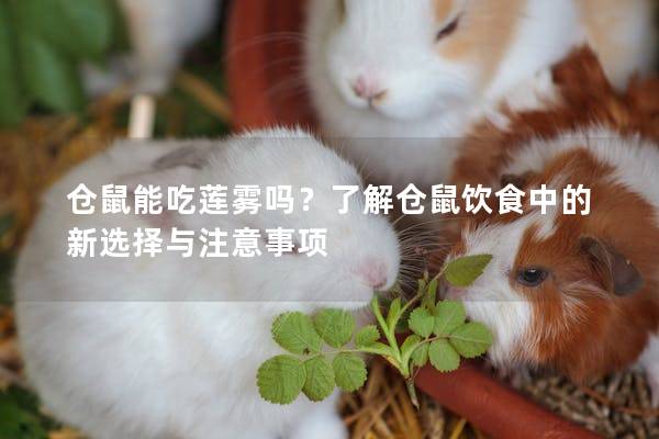 仓鼠能吃莲雾吗？了解仓鼠饮食中的新选择与注意事项