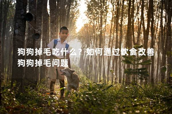 狗狗掉毛吃什么？如何通过饮食改善狗狗掉毛问题