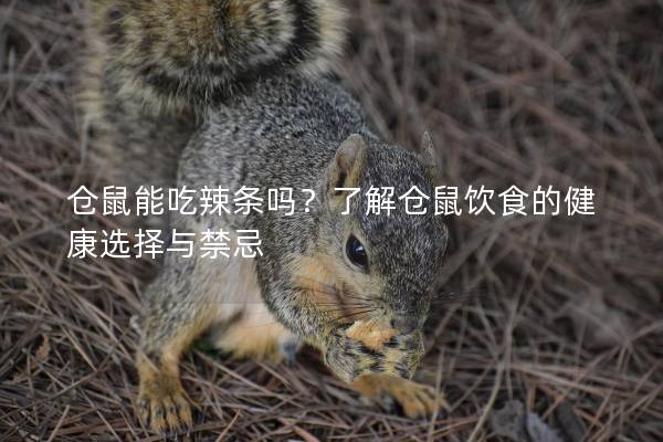 仓鼠能吃辣条吗？了解仓鼠饮食的健康选择与禁忌