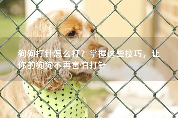 狗狗打针怎么打?掌握这些技巧,让你的狗狗不再害怕打针 狗狗打针怎么打?掌握这些技巧,让你的狗狗不再害怕打针
