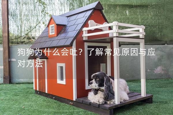 狗狗为什么会吐？了解常见原因与应对方法